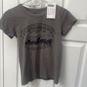 BNWT Brandy Melville Gray Yellowstone Valley Graphic T-Shirt